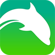 海豚浏览器国际版flash插件