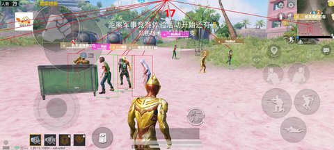 和平精英小黄鸡直装版