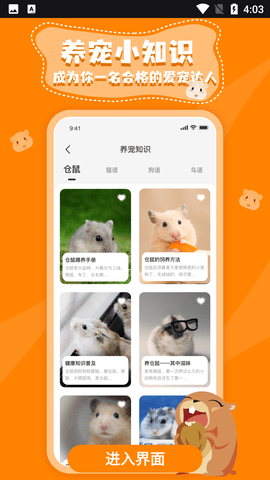 仓鼠翻译器中文苹果版