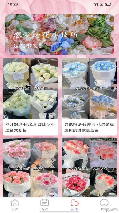 百花步数app下载