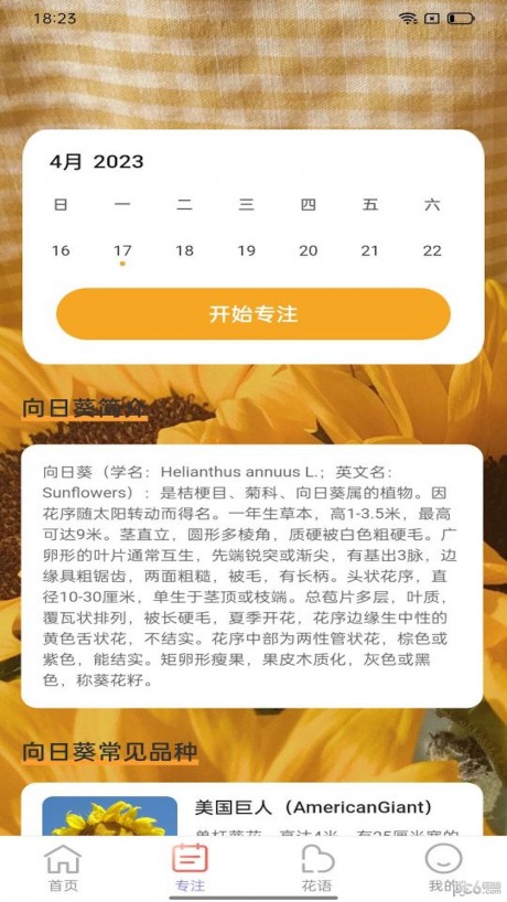 百花步数app下载
