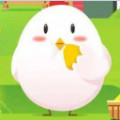 支付宝小鸡考考你下载
