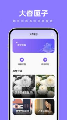 大杏匣子app下载