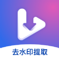 视频去水印提取软件下载