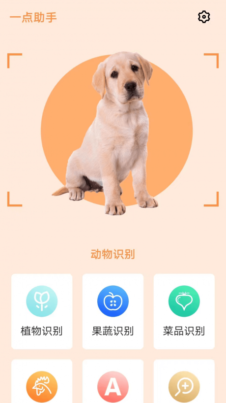 一点助手app安卓版下载