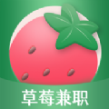 草莓兼职app下载