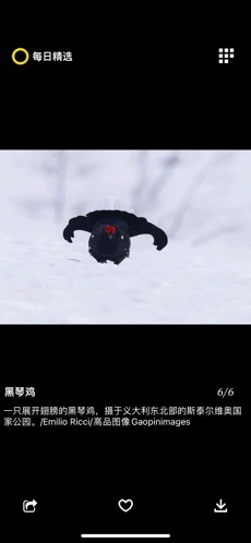 每日精选下载
