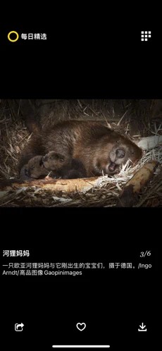 每日精选下载