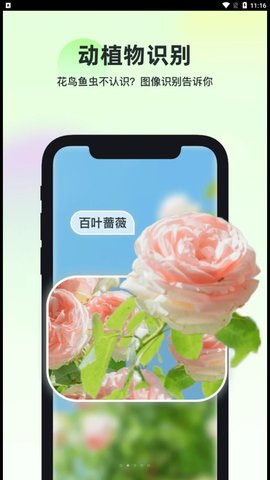 智能识万物官方版下载
