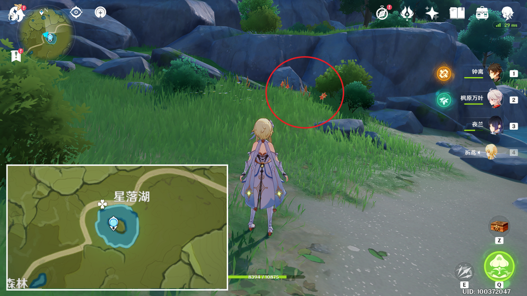 《原神》风车菊采摘位置一览
