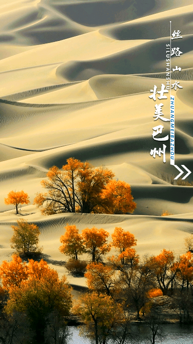 我的巴州app2022最新版下载