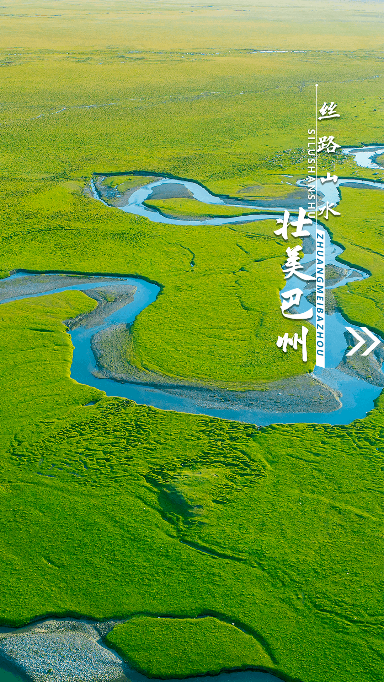 我的巴州app2022最新版下载