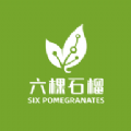 六棵石榴官方版下载