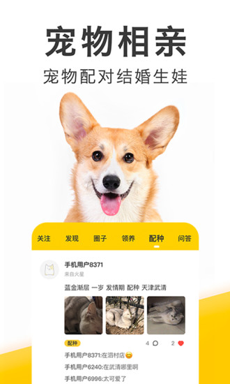 有只宠物软件下载