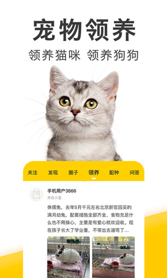 有只宠物软件下载
