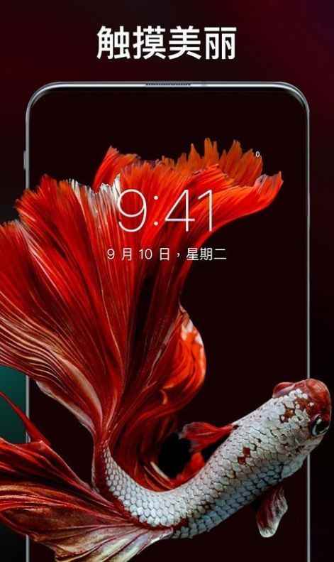 灵猫壁纸大全app最新版下载