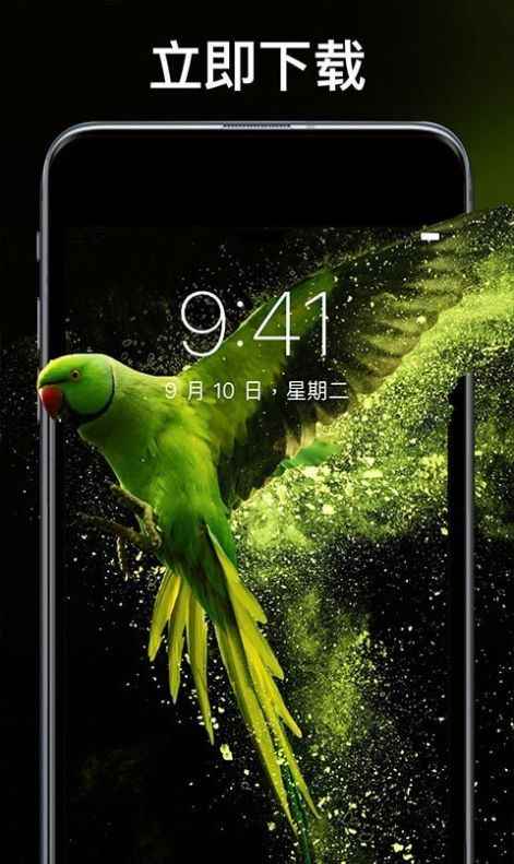 灵猫壁纸大全app最新版下载