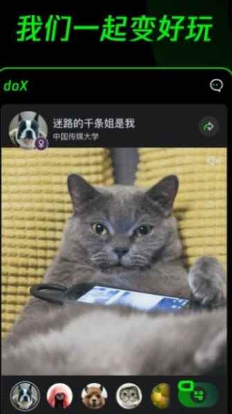 doX交友app最新版图片1