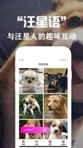 狗语翻译交流器app最新版下载