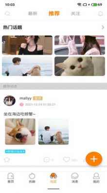 豚缘交友app手机版图片1