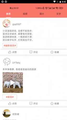 糖言蜜语app安卓版图片1
