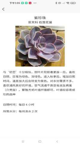 嘟嘟多肉植物鉴app最新版下载
