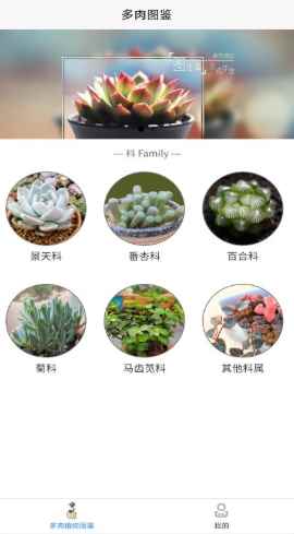 嘟嘟多肉植物鉴app手机最新版图片1