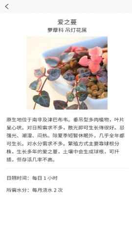 嘟嘟多肉植物鉴app最新版下载