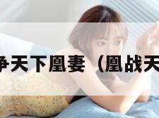 大争天下凰妻（凰战天下）