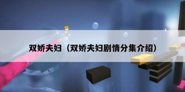双娇夫妇（双娇夫妇剧情分集介绍）
