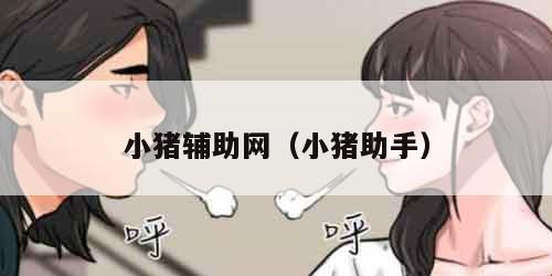 小猪辅助网（小猪助手）