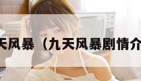 九天风暴（九天风暴剧情介绍）