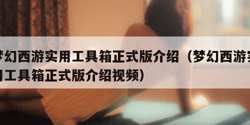 梦幻西游实用工具箱正式版介绍（梦幻西游实用工具箱正式版介绍视频）