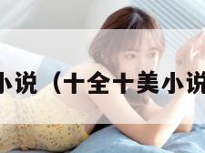 十全十美小说（十全十美小说免费阅读）