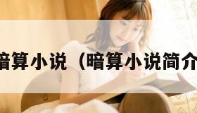 暗算小说（暗算小说简介）