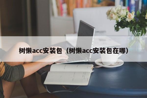 树懒acc安装包（树懒acc安装包在哪）