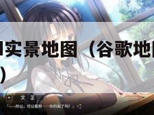 谷歌地图3d实景地图（谷歌地图3d实景地图免费使用）