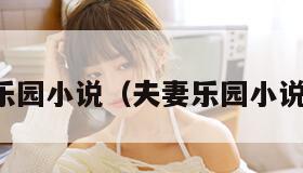 夫妻乐园小说（夫妻乐园小说阅读）