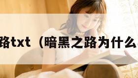 暗黑之路txt（暗黑之路为什么不写了）
