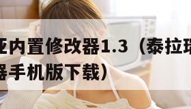 泰拉瑞亚内置修改器1.3（泰拉瑞亚13内置修改器手机版下载）