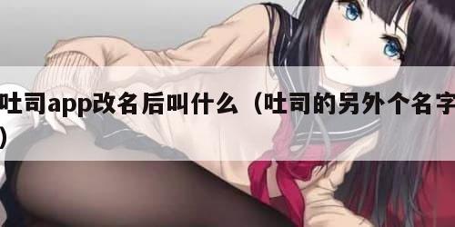 吐司app改名后叫什么（吐司的另外个名字）