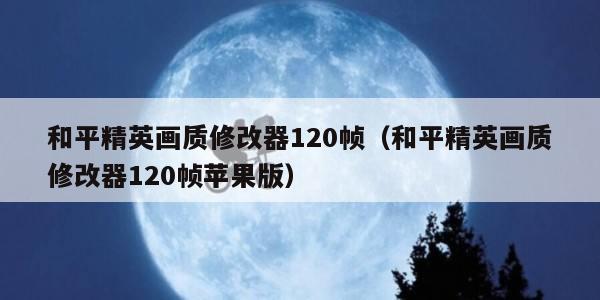 和平精英画质修改器120帧（和平精英画质修改器120帧苹果版）