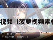 菠萝视频（菠萝视频素材库）