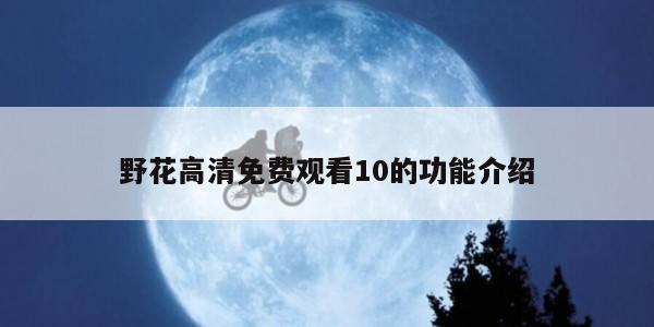 野花高清免费观看10的功能介绍