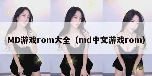 MD游戏rom大全（md中文游戏rom）