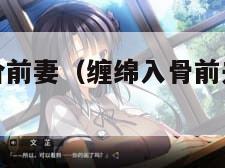 缠绵悱恻天价前妻（缠绵入骨前夫太危险全文免费阅读）