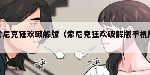 索尼克狂欢破解版（索尼克狂欢破解版手机版）