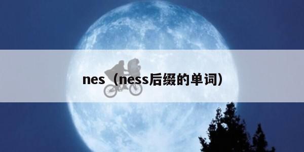nes（ness后缀的单词）