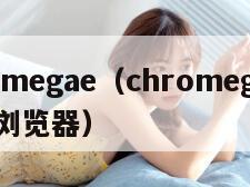 chromegae（chromegae是什么浏览器）