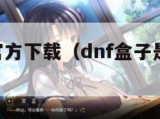 dnf盒子官方下载（dnf盒子是什么东西）